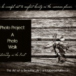 Photo Project: Photo Walk - Saturday in the Park | artofabeautifullife.com