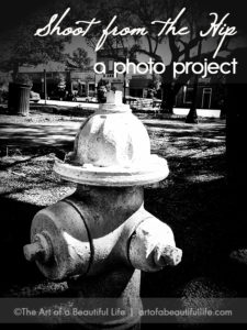 Photo Project - Shoot from the Hip