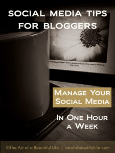Schedule Social Media in One Hour a Week by artofabeautifullife.com