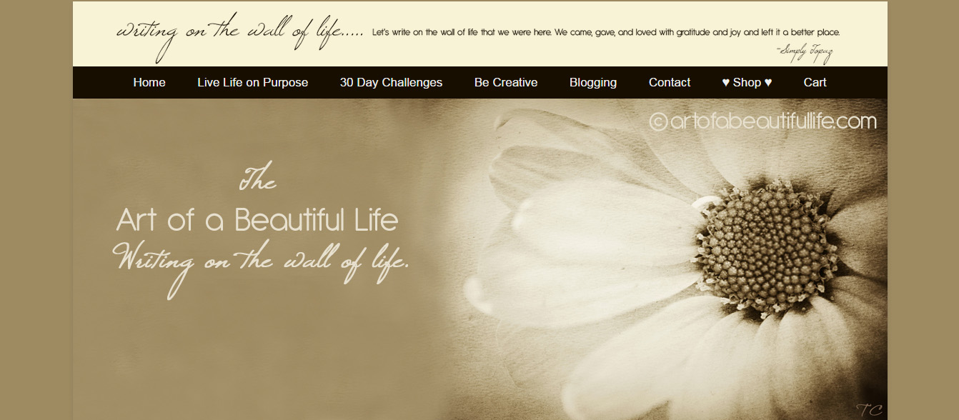 The Art of a Beautiful Life (custom designed jewelry and blog)