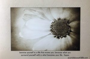 Immerse Yourself Quote - Inspirational Blog